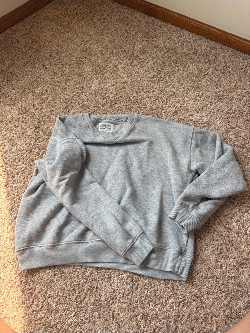 aerie Men's Light Gray Crewneck Sweater